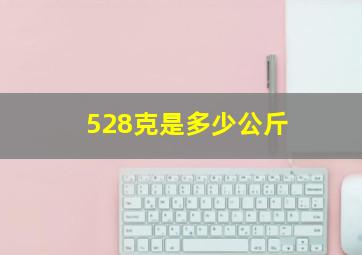 528克是多少公斤