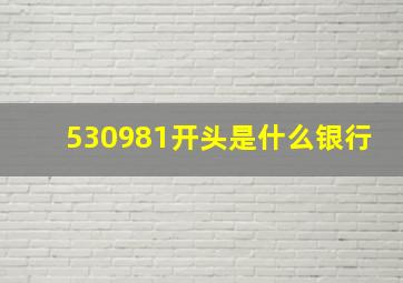 530981开头是什么银行