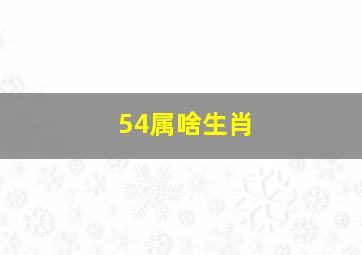 54属啥生肖