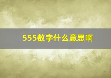 555数字什么意思啊