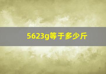 5623g等于多少斤