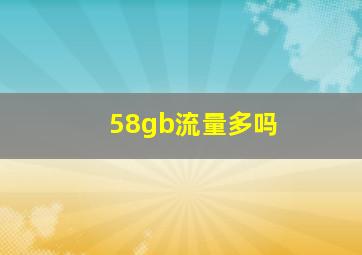 58gb流量多吗