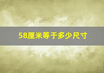 58厘米等于多少尺寸