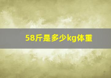 58斤是多少kg体重