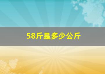 58斤是多少公斤