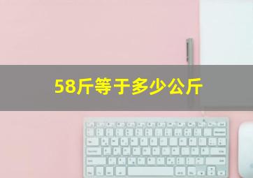 58斤等于多少公斤