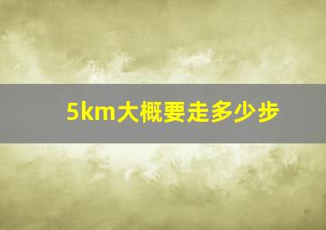 5km大概要走多少步