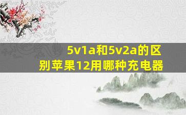 5v1a和5v2a的区别苹果12用哪种充电器