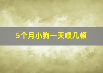 5个月小狗一天喂几顿