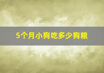 5个月小狗吃多少狗粮