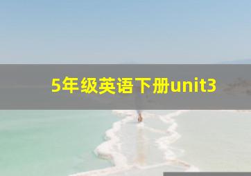 5年级英语下册unit3