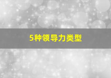 5种领导力类型