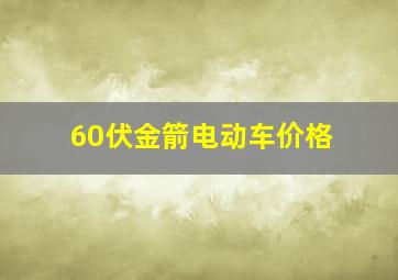 60伏金箭电动车价格