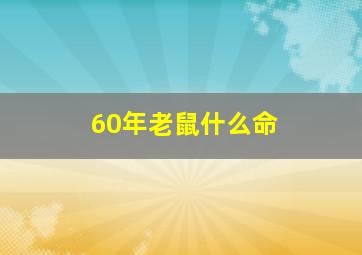 60年老鼠什么命