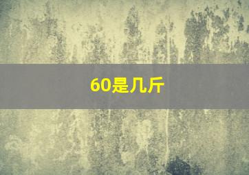 60是几斤