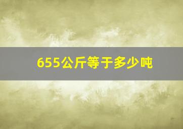 655公斤等于多少吨