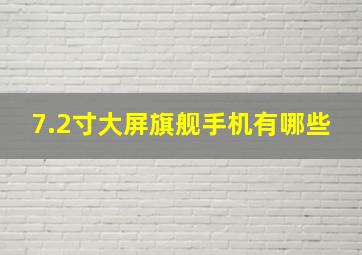 7.2寸大屏旗舰手机有哪些