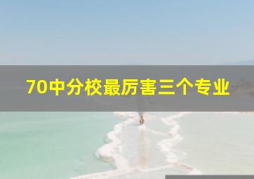 70中分校最厉害三个专业