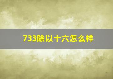 733除以十六怎么样