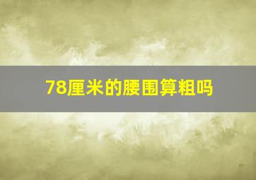 78厘米的腰围算粗吗