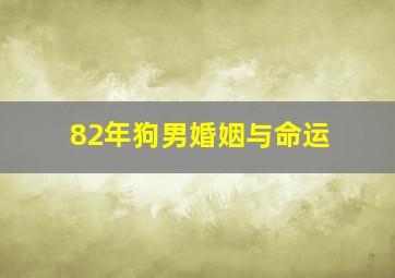 82年狗男婚姻与命运