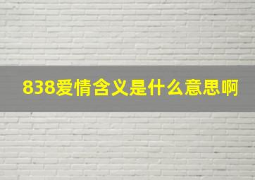 838爱情含义是什么意思啊