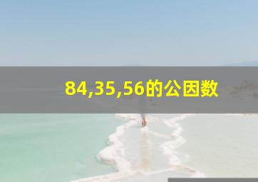 84,35,56的公因数