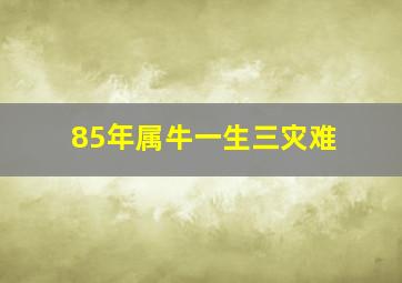 85年属牛一生三灾难