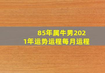 85年属牛男2021年运势运程每月运程