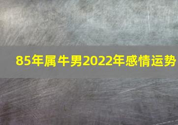 85年属牛男2022年感情运势