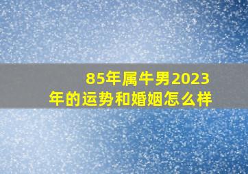 85年属牛男2023年的运势和婚姻怎么样