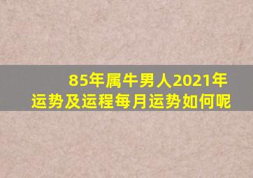 85年属牛男人2021年运势及运程每月运势如何呢