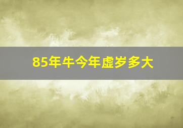 85年牛今年虚岁多大