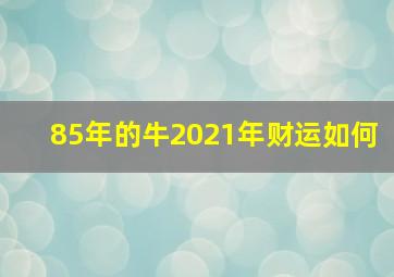 85年的牛2021年财运如何