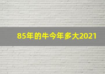 85年的牛今年多大2021