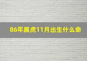 86年属虎11月出生什么命