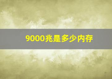 9000兆是多少内存