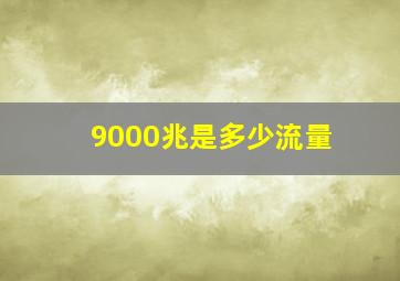 9000兆是多少流量