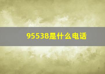 95538是什么电话