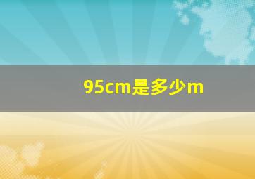 95cm是多少m