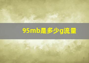 95mb是多少g流量