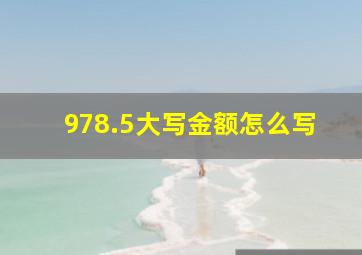 978.5大写金额怎么写