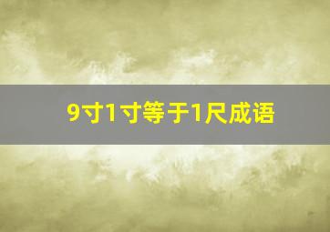 9寸1寸等于1尺成语