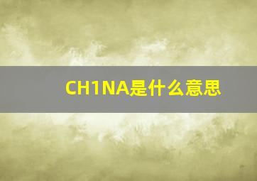 CH1NA是什么意思