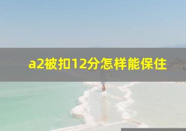 a2被扣12分怎样能保住