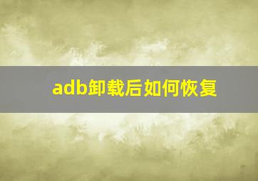 adb卸载后如何恢复