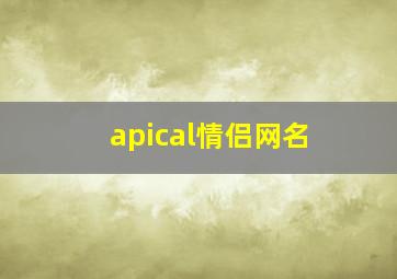 apical情侣网名