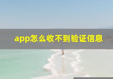 app怎么收不到验证信息