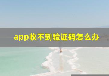 app收不到验证码怎么办