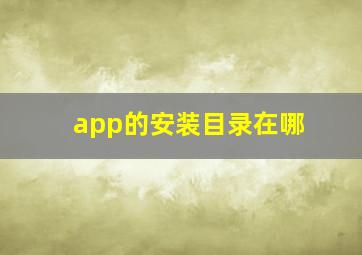 app的安装目录在哪